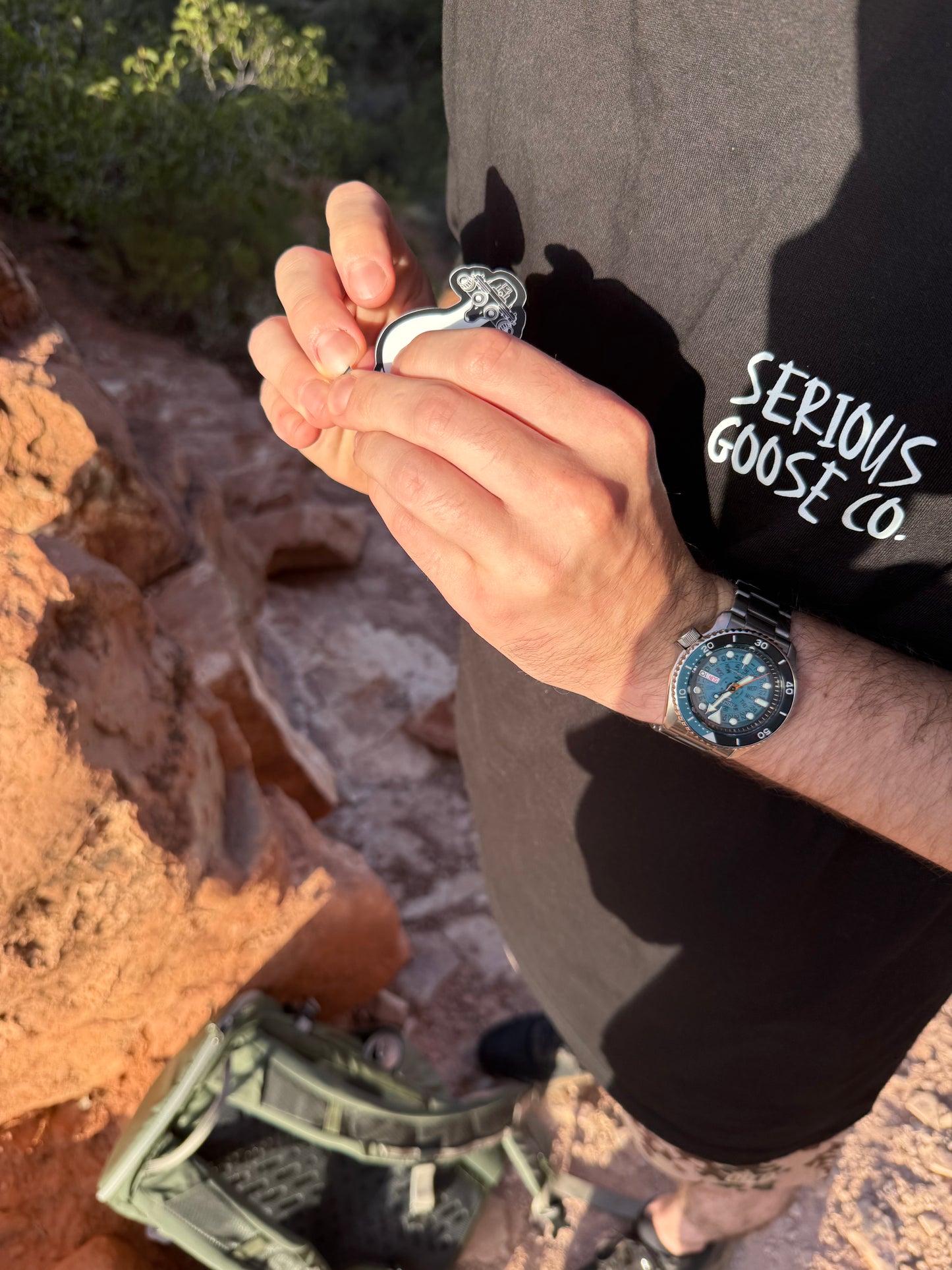 Serious Goose Tee - Black (Pre-Order)